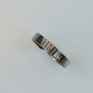 titanium ring "simplicity"