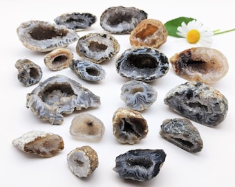 Peut inclure: Une collection de 18 cristaux de géode d'agate dans différentes nuances de gris, brun et blanc. Les géodes sont toutes ouvertes et montrent les formations cristallines à l'intérieur.