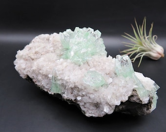Apophyllite Zeolite Crystal