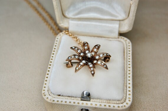10k Victorian Era Starburst Seed Pearl Pendant Br… - image 5