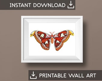 Atlas Moth Watercolor Nature Illustration Spirit Animal Printable Instant Download Wall Art Entomology Butterfly Insect Gift Painting