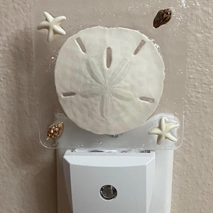 Coastal real sand dollar night light Coastal beach nightlight