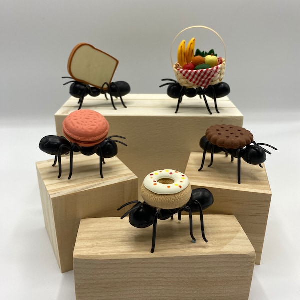 Fake ant and basket, cracker , bread, donut or macaroon Tiered tray fake food. Spring Summer Picnic.