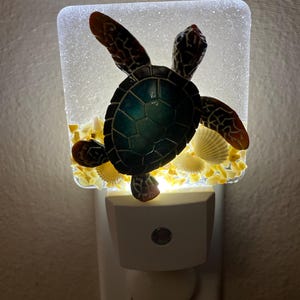 Turtle Light Up Shell Coastal Sea Turtle Night Light. With Crushed Shells. - Etsy
