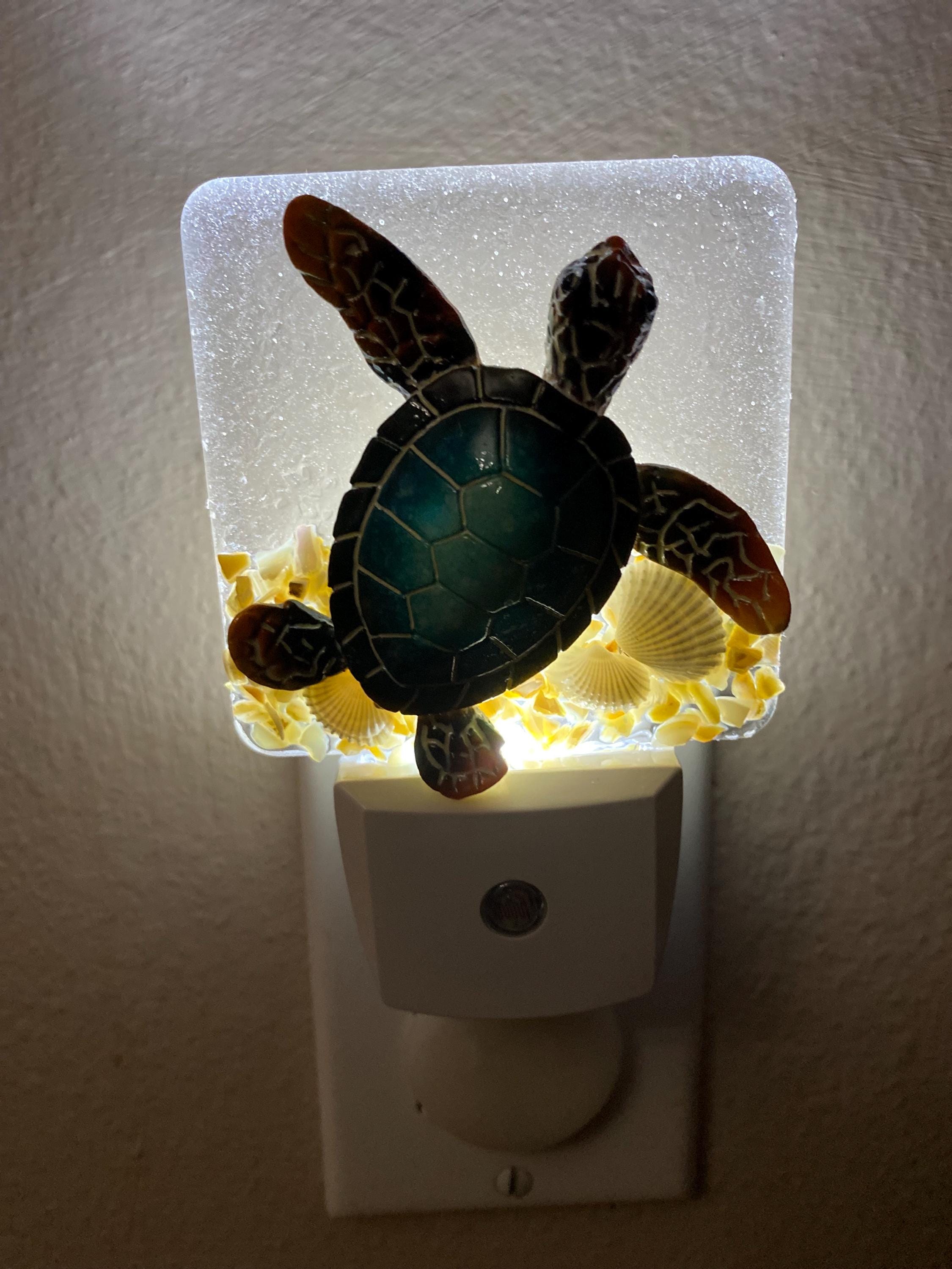 Turtle Shell Light Coastal Sea Turtle Night Light. With Crushed Shells. - Etsy