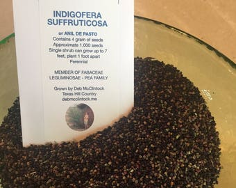 Indigo seed for Indigofera Suffruticosa or Anil De Pasto Seed Pack