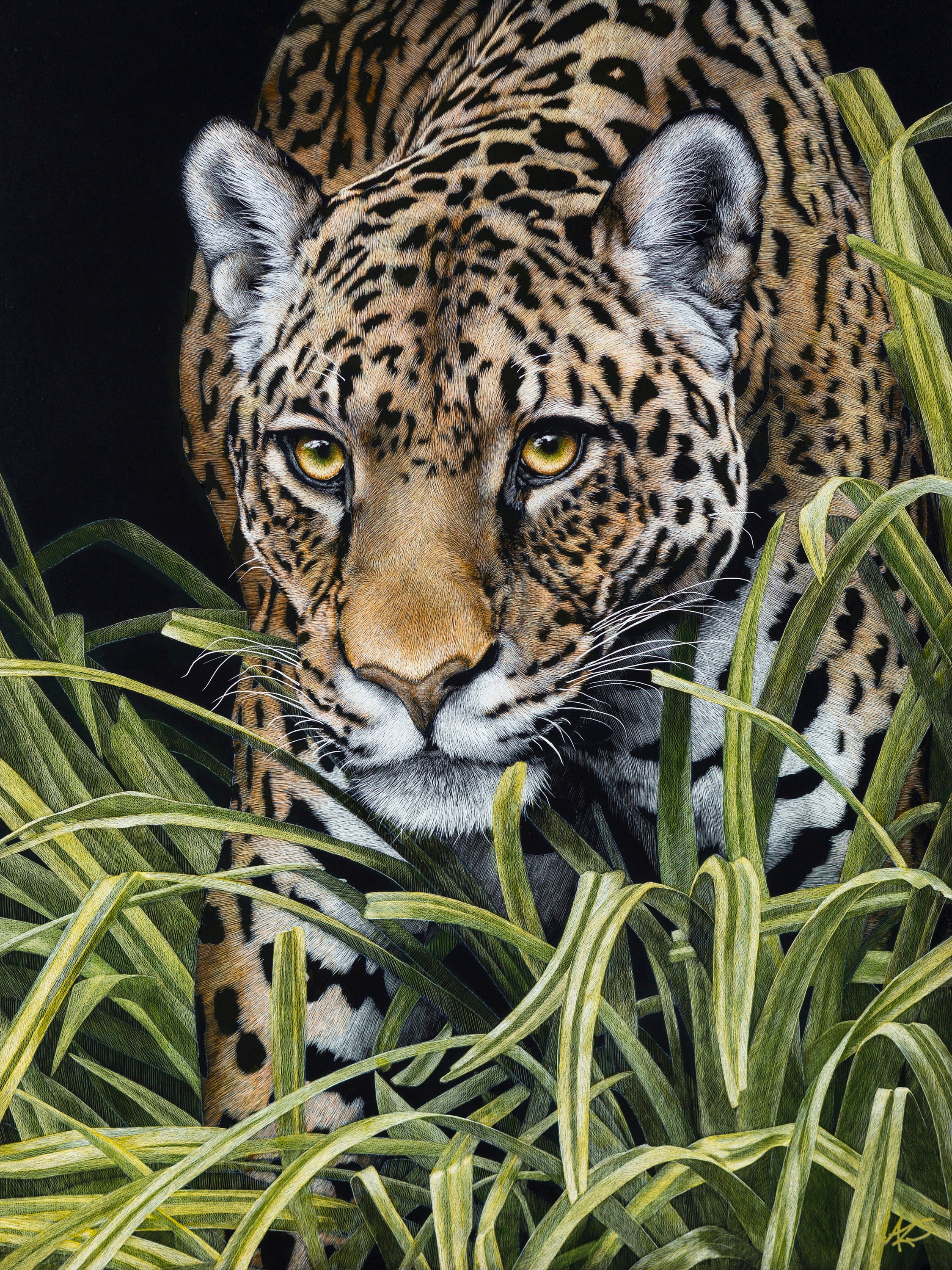 Art Of Jaguar Torrent