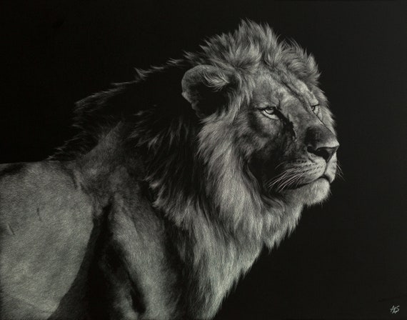 scratch board lion art