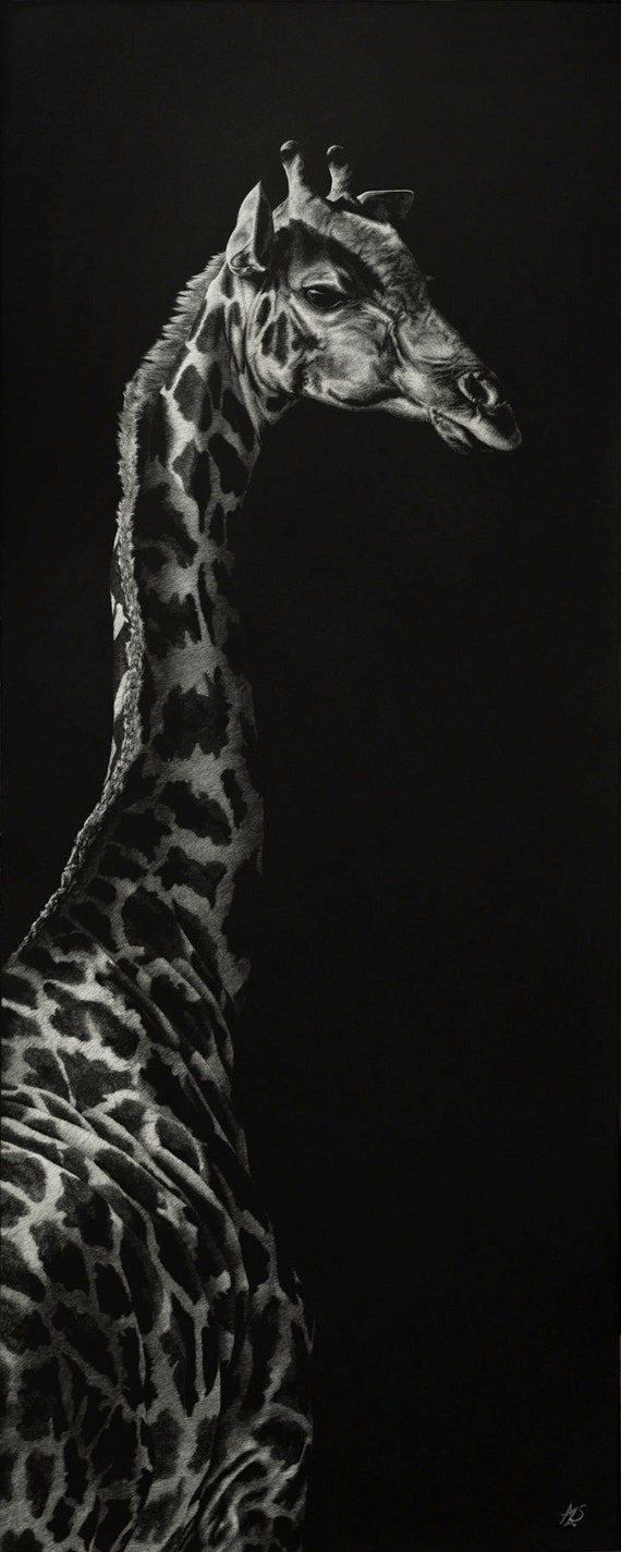 Giraffe Art Print Giraffe Scratchboard Fine Art Print Etsy