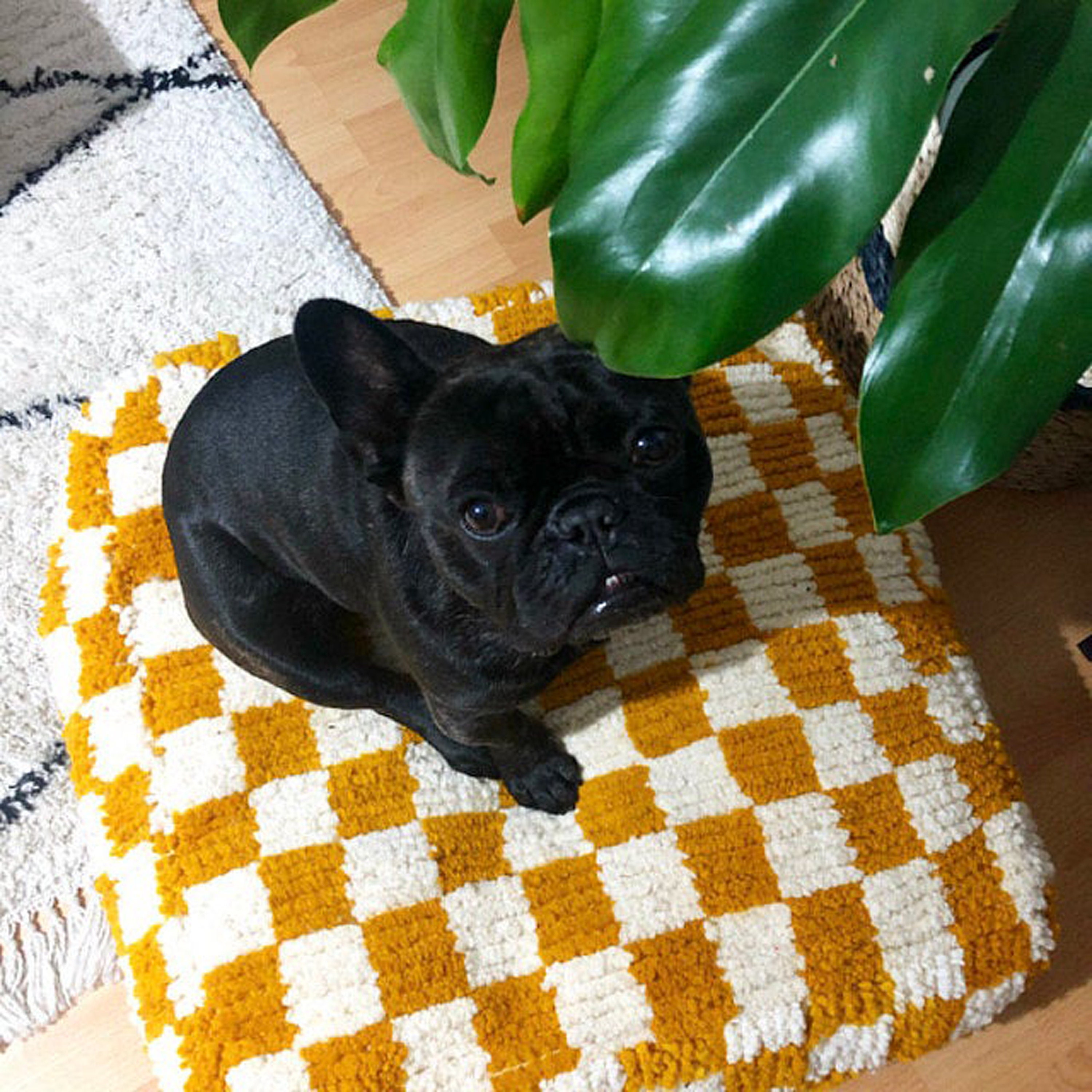 Le coussin de sol carreaux verts, Simons Maison, Poufs, Accessoires déco