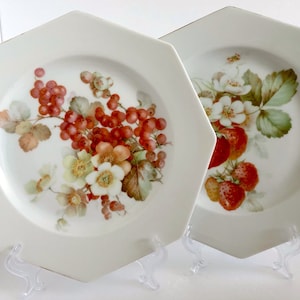 Vintage Ierse achthoekige borden met fruitmotieven salade-/dinerbord