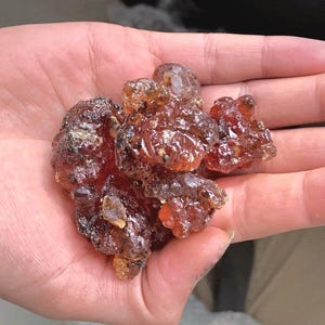 Op de afbeelding: Een cluster van ruwe, doorschijnende, roodbruine boomharsstukken met een glanzende, onregelmatige en kristallijne textuur. De geharde sapbrokken vertonen verschillende tinten amber en diep mahonie, met een grillig, organisch en veelvlakkig oppervlak.
