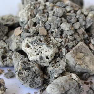 SAUMERIO COPAL NEGRO - Protium Paniculatum - Weihrauch Harz aus Peru