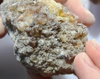 Rare Frankincense - Boswellia ameero - Sweet, piney, spicy incense resin