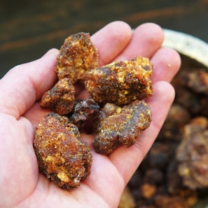 OPOPONAX HADI - Commiphora guidottii - Bitter Myrrh from Ogaden