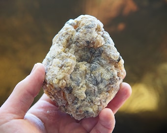 Rare Socotran Frankincense - Boswellia dioscoridis - Piney, uplifting