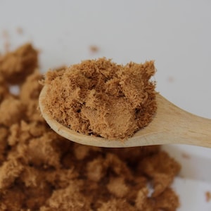 WEEPING CYPRESS POWDER - Incense - Cupressus funebris