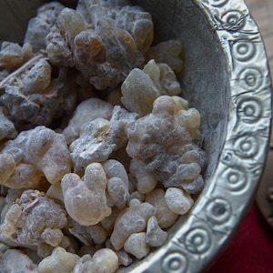 NEWLY DISCOVERED FRANKINCENSE - Boswellia occulta - High Quality