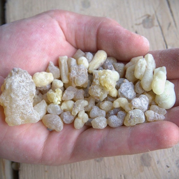 SUPERIOR ETHIOPIAN FRANKINCENSE - Boswellia papyrifera - Incense Resin