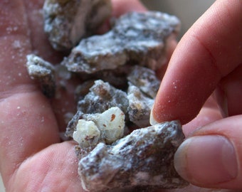 Mexican 'Copal Negro' - Incense Resin - Bursera bipinnata