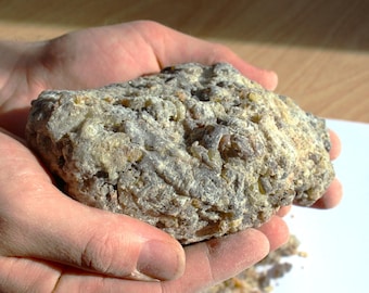 Rarest Frankincense - Boswellia bullata - Floral, piney, citrus incense resin