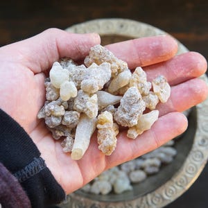 ROYAL ADEN FRANKINCENSE - Boswellia carterii - Resina di incenso di alta qualità
