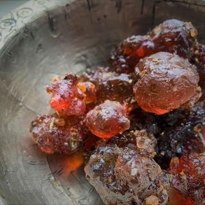 SOCOTRAN KUA MYRRH - Commiphora abyssinica