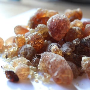 Copal de mezquite - Resina de incienso afrutada, dulce y terrosa procedente de Perú - Prosopis alba