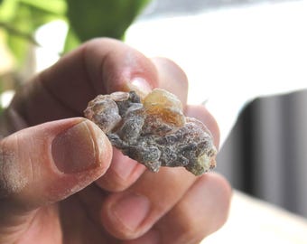 Black Frankincense - 'Mohor' from Somalia, 20g-100g