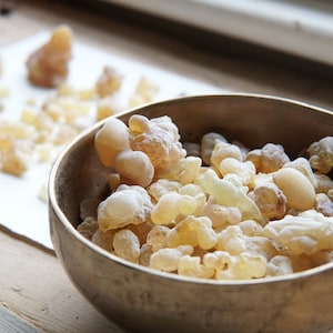 NUEVO INCIENSO HÍBRIDO - Cultivar raro "Beyo" - Boswellia carterii x sacra - Resina de incienso somalí