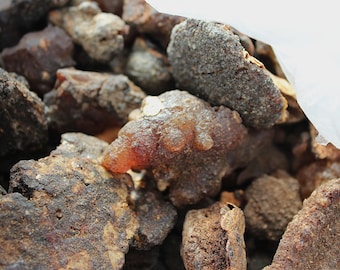 Copal Torote Incense Resin from Mexico