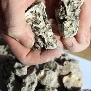 Copal Amazonicum - Fragrant, powdery incense resin from Peru