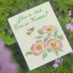 Rose Bee Love Card - She's the Bee's Knees tarjeta de felicitación san valentín rosa salvaje abejorro arte botánico flor acuarela ilustración