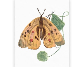Tricot Papillon | 10 Cartes postales