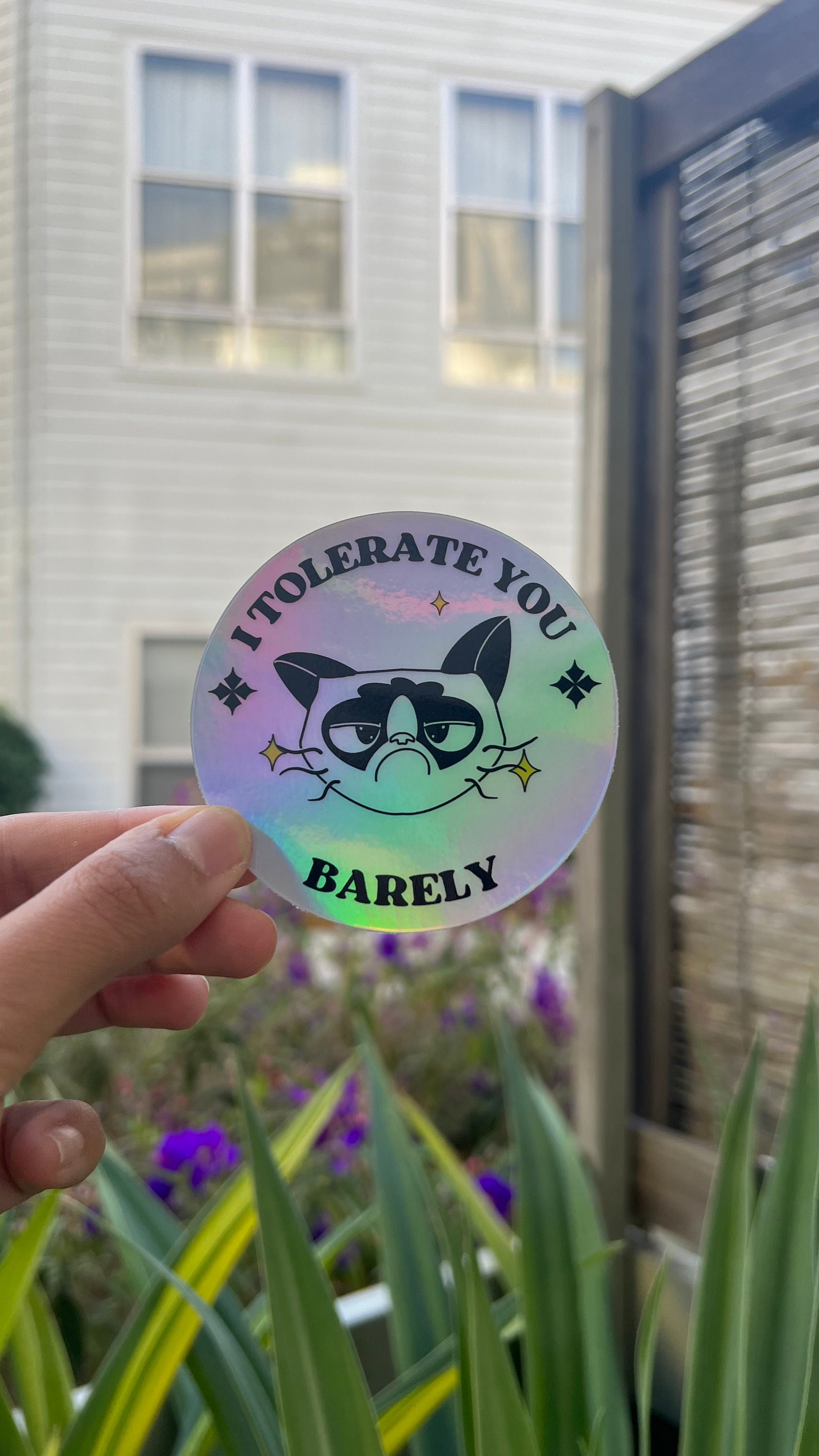 Grumpy Cat Holographic Sticker Set - Coffee, Tolerance, Permanently ...