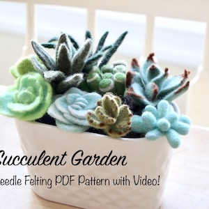 Succulenta infeltrita, giardino di piante grasse, modello infeltrimento ad ago, Impara a feltro, PDF e video, download digitale, giardino interno, pianta