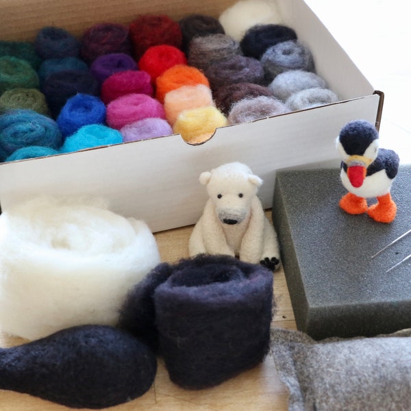 Needle Felting Kit Beginner Etsy