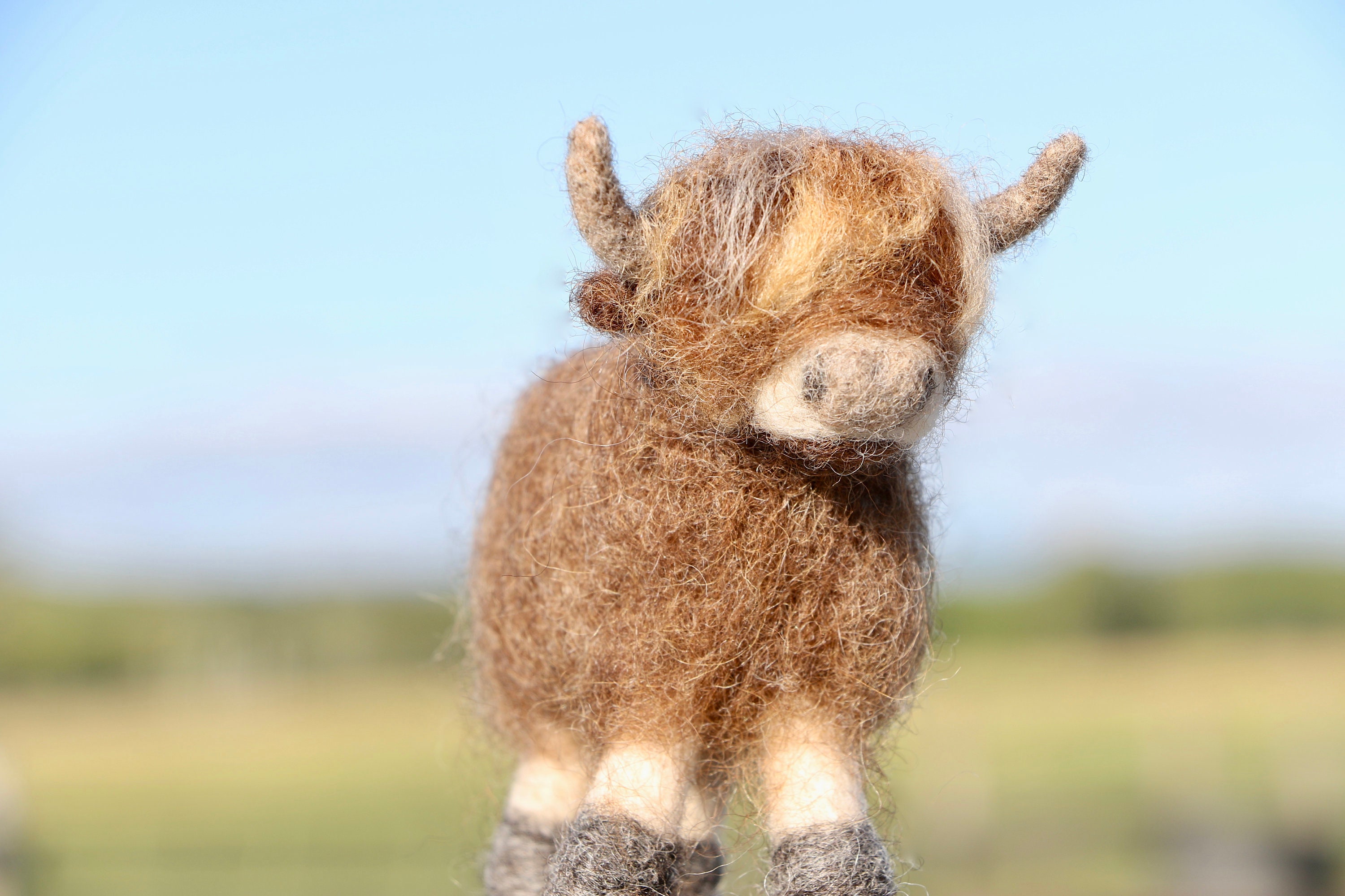Highland Cow Needle Felting Kit DIY Craft Kit Adult Craft Etsy