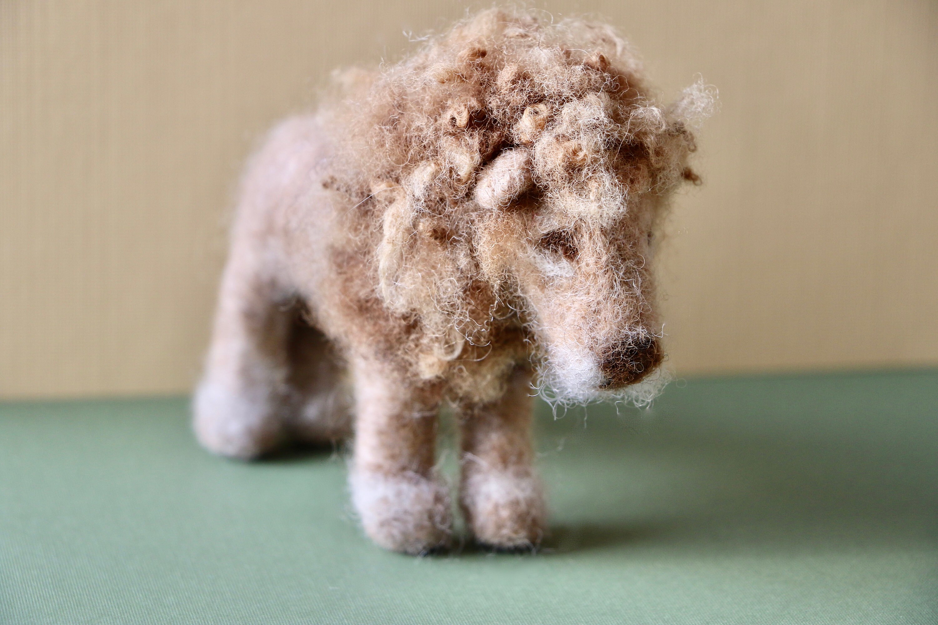 Needle Felting Kits Lion Needle Felting DIY Craft Kit Etsy