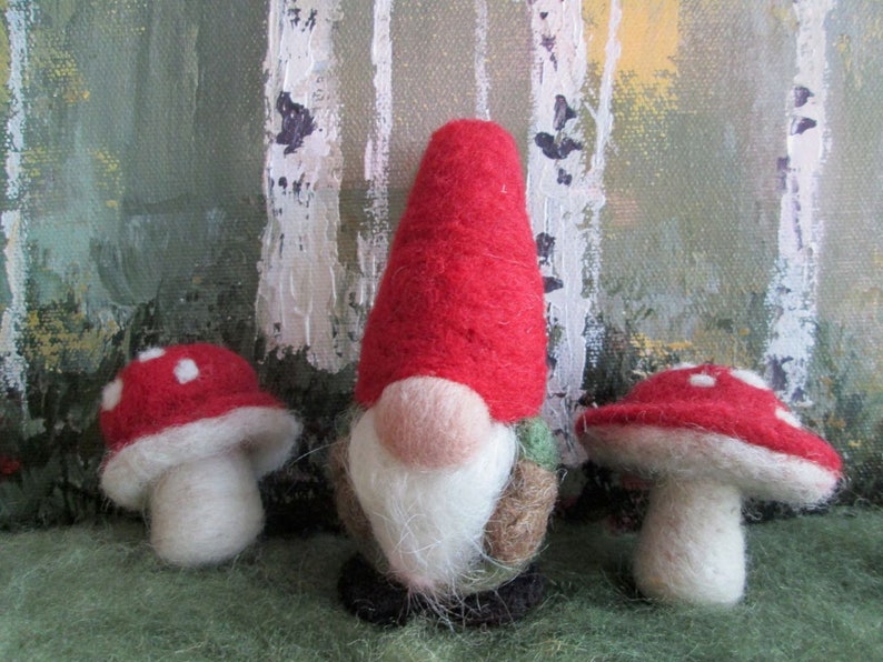 Needle Felting Kits Gnome and Mushroom Needle Felt Etsy Canada