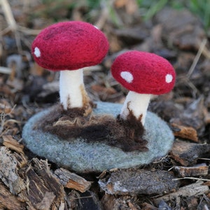 Mini Mushroom Needle Felting Kit - Toadstool - Felted Sculpture - Beginner friendly - Video & PDF download - Fungi Felting - DIY Craft Kit