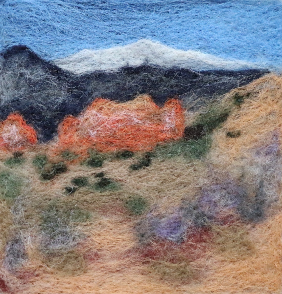 Wool Painting makes 6 Needle Felting Picture America Etsy