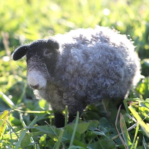 Sheep Felting Kit - Needle Felting Kit - DIY Craft Kit - Felting Supplies - Starter Kit - Needle Felted – Beginner - Gotland Sheep - Wool