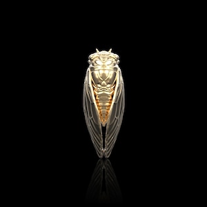 Bronze Cicada Lapel Pin, Cicada Men Brooch, Bug Jewelry, Insect Jewelry, Cicada Badge, Entomology Jewelry, Suit Accessories, Gift For Him