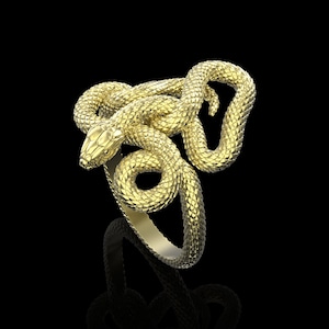 Brass Snake Ring, Ancient Mythological Symbols Snake Ring, Vintage Snake Ring, Snake Jewelry,Rattlesnake Ring,Good And Evil,Gift For Him Her