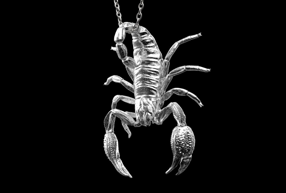 Sterling Silver Scorpion Pendant Necklace Scorpion Jewelry Etsy