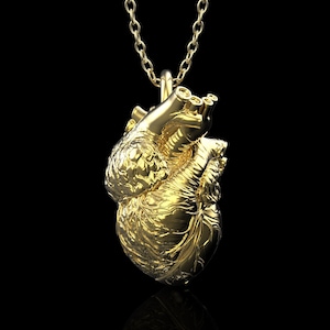 18K Gold Plated Human Heart Solid Pendant Necklace, Anatomical Heart Jewelry, Doctor and Nurse Jewelry, Gift Ideas for Doctors, Pendant Only