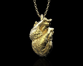 18K Gold Plated Human Heart Solid Pendant Necklace, Anatomical Heart Jewelry, Doctor and Nurse Jewelry, Gift Ideas for Doctors, Pendant Only