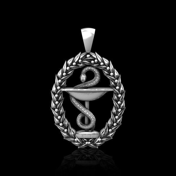 Sterling Silver Bowl of Hygieia Pendant Necklace, Pharmacy Pendant, Statue of Medical Symbol Gift, Medicine Jewelry, Snake Pendant, Caduceus