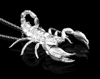 Collar con colgante de escorpión de plata de ley, joyería de escorpión, escorpión del zodiaco, amuleto del desierto, joyería con dije de escorpión, solo colgante, sin cadena.